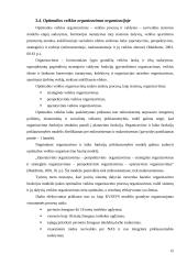 Strateginio valdymo funkcijos 15 puslapis