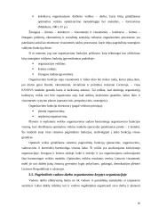 Strateginio valdymo funkcijos 16 puslapis