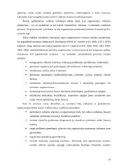 Strateginio valdymo funkcijos 18 puslapis