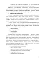 Strateginio valdymo funkcijos 19 puslapis