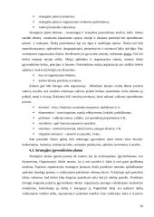 Strateginio valdymo funkcijos 20 puslapis