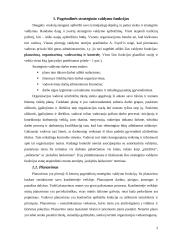 Strateginio valdymo funkcijos 3 puslapis