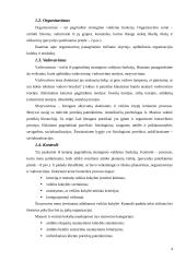 Strateginio valdymo funkcijos 4 puslapis