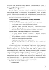 Strateginio valdymo funkcijos 6 puslapis
