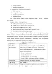 Strateginio valdymo funkcijos 7 puslapis