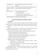 Strateginio valdymo funkcijos 8 puslapis