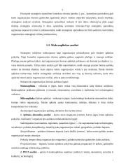 Strateginio vystymo planas: UAB "Kvapų magija" 6 puslapis