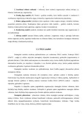Strateginio vystymo planas: UAB "Kvapų magija" 7 puslapis
