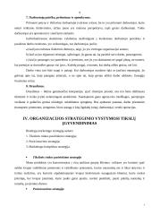 Strateginio vystymo planas: UAB "Kvapų magija" 10 puslapis