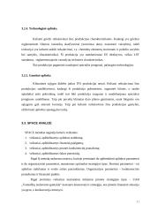 Strateginis marketingo planas: UAB "Vamzdžių izoliavimo gamykla" 11 puslapis