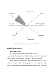 Strateginis marketingo planas: UAB "Vamzdžių izoliavimo gamykla" 12 puslapis