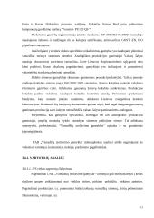 Strateginis marketingo planas: UAB "Vamzdžių izoliavimo gamykla" 13 puslapis