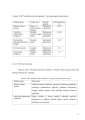 Strateginis marketingo planas: UAB "Vamzdžių izoliavimo gamykla" 15 puslapis