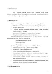 Strateginis marketingo planas: UAB "Vamzdžių izoliavimo gamykla" 4 puslapis
