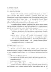 Strateginis marketingo planas: UAB "Vamzdžių izoliavimo gamykla" 5 puslapis