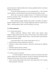 Strateginis marketingo planas: UAB "Vamzdžių izoliavimo gamykla" 6 puslapis
