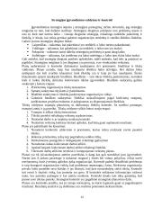 Strateginis planavimas: Lietuvos ir JAV kapitalo viešbučiai UAB "Centrum" 11 puslapis