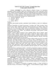 Strateginis planavimas: Lietuvos ir JAV kapitalo viešbučiai UAB "Centrum" 13 puslapis