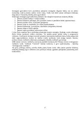 Strateginis planavimas: Lietuvos ir JAV kapitalo viešbučiai UAB "Centrum" 16 puslapis