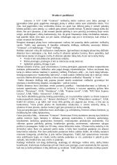 Strateginis planavimas: Lietuvos ir JAV kapitalo viešbučiai UAB "Centrum" 17 puslapis
