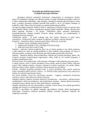 Strateginis planavimas: Lietuvos ir JAV kapitalo viešbučiai UAB "Centrum" 10 puslapis