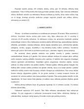 Studentų požiūris į abortą 4 puslapis