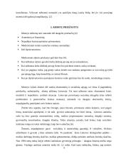 Studentų požiūris į abortą 6 puslapis