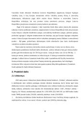 Su darbo užmokesčiu susijusių įsipareigojimų apskaita 18 puslapis