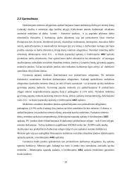 Su darbo užmokesčiu susijusių įsipareigojimų apskaita 20 puslapis