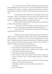 Sumokėtų mokesčių per 2006-2008 metus analizė: prekybinė įmonė 11 puslapis