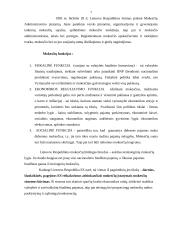 Sumokėtų mokesčių per 2006-2008 metus analizė: prekybinė įmonė 7 puslapis