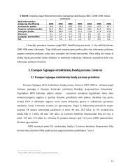 Svarbiausi išoriniai Lietuvos ekonomikos vystymosi veiksniai 13 puslapis