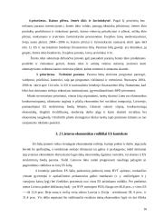 Svarbiausi išoriniai Lietuvos ekonomikos vystymosi veiksniai 16 puslapis