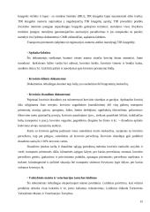 Sviesto gabenimas Vilnius - Donetskas 13 puslapis