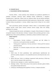 Sviesto gabenimas Vilnius - Donetskas 3 puslapis