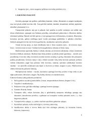 Sviesto gabenimas Vilnius - Donetskas 7 puslapis