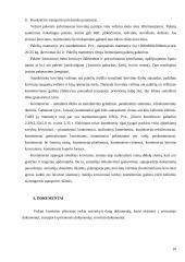 Sviesto gabenimas Vilnius - Donetskas 8 puslapis