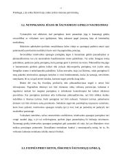 Šaunamasis ginklas, jo panaudojimas 17 puslapis