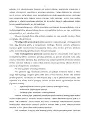 Šaunamasis ginklas, jo panaudojimas 4 puslapis