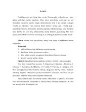 Šeima kaip vertybė 2 puslapis