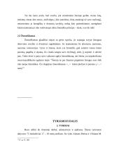 Šeima kaip vertybė 11 puslapis