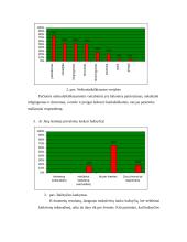 Šeima kaip vertybė 13 puslapis