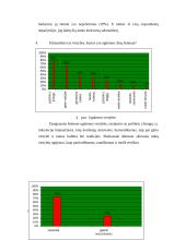 Šeima kaip vertybė 14 puslapis