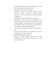 Šeima kaip vertybė 17 puslapis