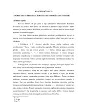 Šeima kaip vertybė 3 puslapis