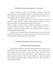 Šešėlinė ekonomika (kursinis darbas) 12 puslapis