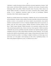 Šešėlinė ekonomika (kursinis darbas) 19 puslapis