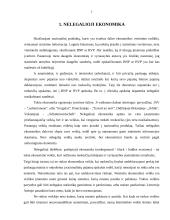 Šešėlinė ekonomika (kursinis darbas) 4 puslapis