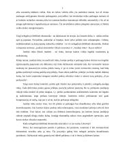 Šešėlinė ekonomika (kursinis darbas) 5 puslapis