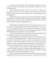 Šešėlinė ekonomika (kursinis darbas) 6 puslapis